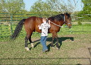 10 year old Will playing the Porcupine Game (Game #2) on the hindquarters of his hourse ENUF